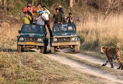 Best Places to Stay in Ranthambore (Budget Travel Guide)