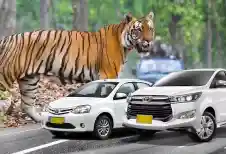 Jaipur to Ranthambore Taxi