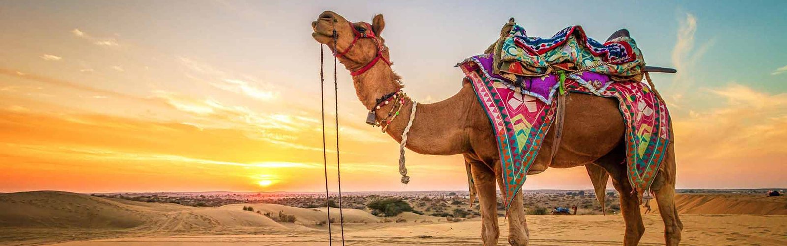 jaisalmer-car-rental